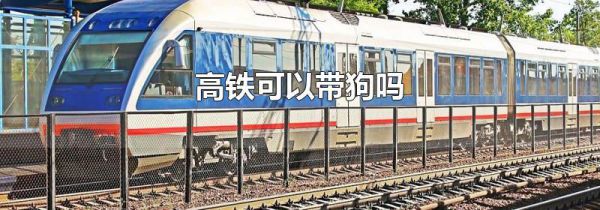 高铁可以带狗吗