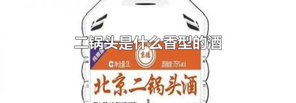 二锅头是什么香型的酒