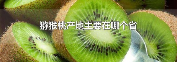 猕猴桃产地主要在哪个省