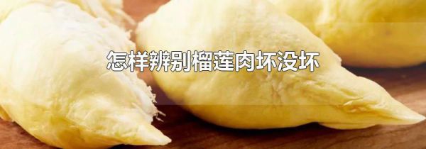 怎样辨别榴莲肉坏没坏