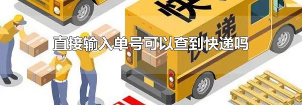 直接输入单号可以查到快递吗