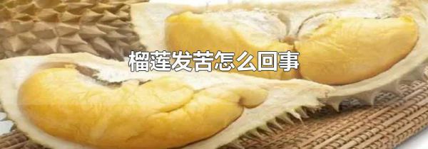 榴莲发苦怎么回事