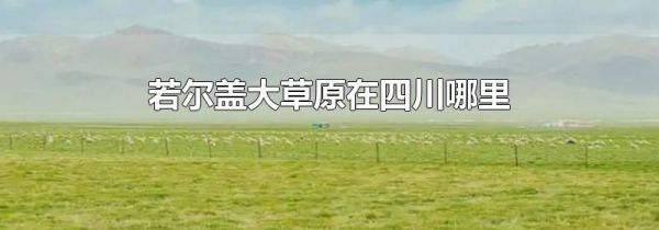 若尔盖大草原在四川哪里