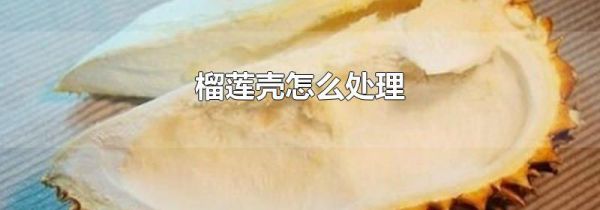 榴莲壳怎么处理