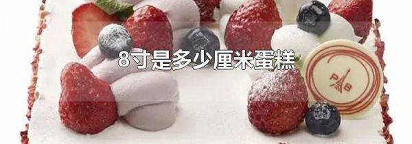 8寸是多少厘米蛋糕