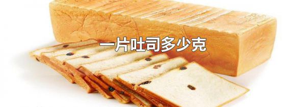 一片吐司多少克