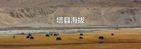 塔县海拔