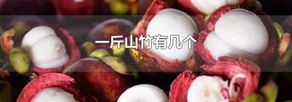 一斤山竹有几个