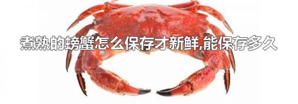 煮熟的螃蟹怎么保存才新鲜,能保存多久