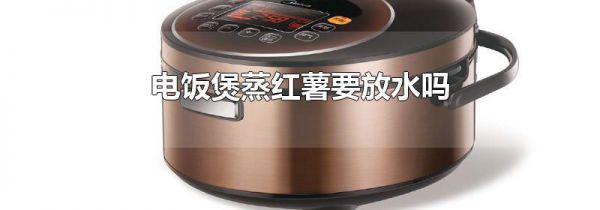 电饭煲蒸红薯要放水吗