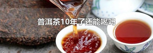 普洱茶10年了还能喝吗