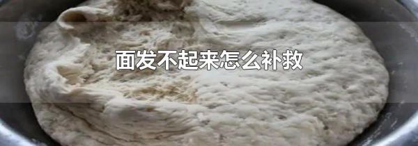 面发不起来怎么补救