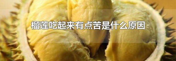 榴莲吃起来有点苦是什么原因