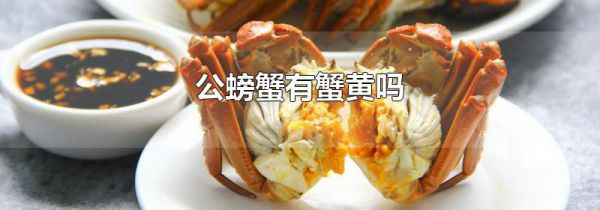 公螃蟹有蟹黄吗