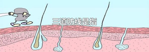 三道防线是指