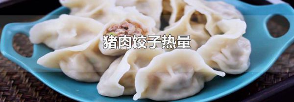 猪肉饺子热量