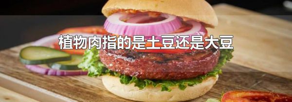 植物肉指的是土豆还是大豆