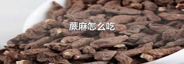 蕨麻怎么吃