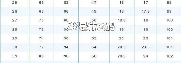 28是什么码