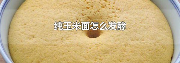 纯玉米面怎么发酵
