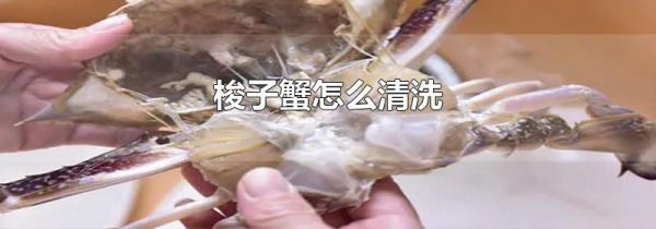 梭子蟹怎么清洗