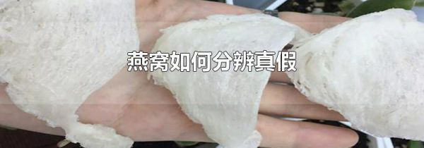 燕窝如何分辨真假