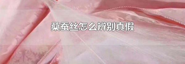 桑蚕丝怎么辨别真假