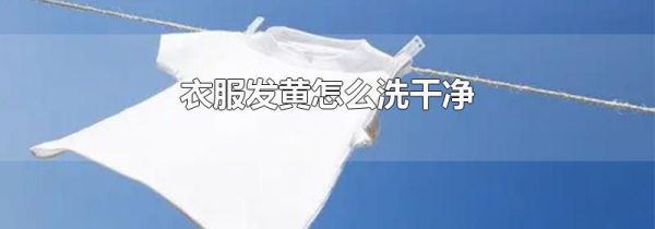 衣服发黄怎么洗干净