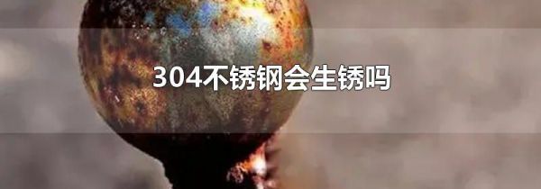 304不锈钢会生锈吗