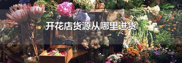 开花店货源从哪里进货