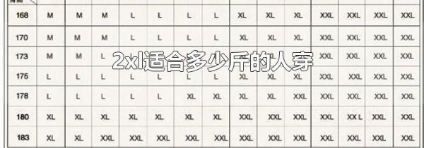 2xl适合多少斤的人穿