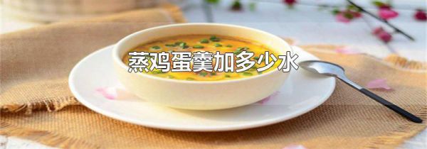 蒸鸡蛋羹加多少水