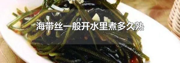 海带丝一般开水里煮多久熟