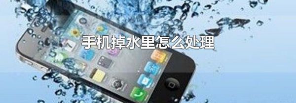 手机掉水里怎么处理