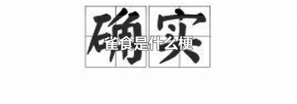 雀食是什么梗
