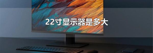 22寸显示器是多大