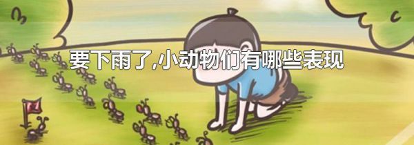 要下雨了,小动物们有哪些表现