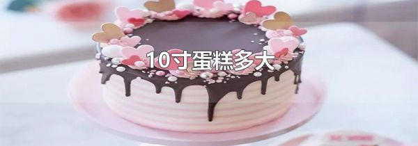 10寸蛋糕多大