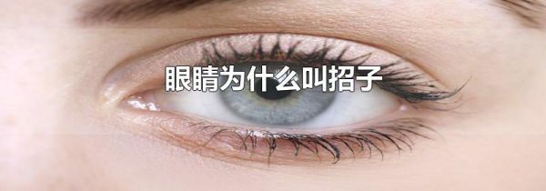 眼睛为什么叫招子