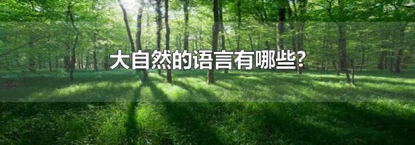 大自然的语言有哪些?