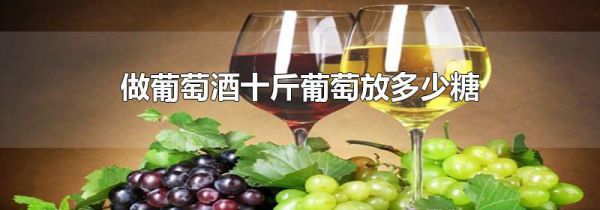 做葡萄酒十斤葡萄放多少糖