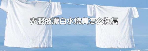 衣服被漂白水烧黄怎么恢复