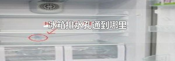 冰箱排水孔通到哪里