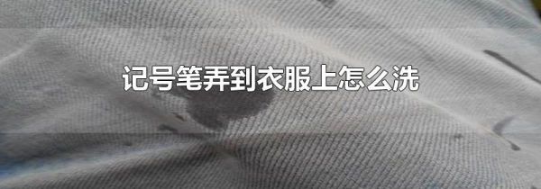 记号笔弄到衣服上怎么洗