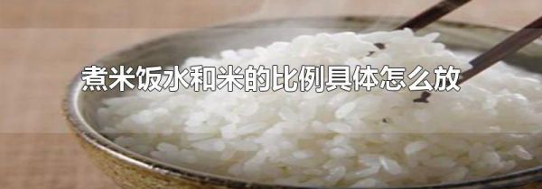 煮米饭水和米的比例具体怎么放
