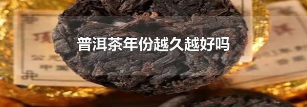 普洱茶年份越久越好吗