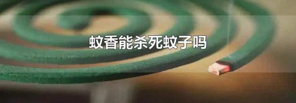 蚊香能杀死蚊子吗