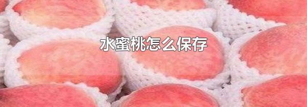 水蜜桃怎么保存