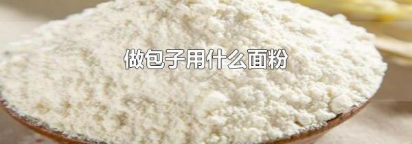 做包子用什么面粉