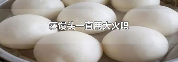 蒸馒头一直用大火吗